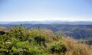 images/Bilder-Start/DSC01778.jpg